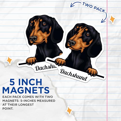 (2 Pack) Dachshund Dog Magnets - Cute Dog Art - Refrigerator Magnets - Pet Lover - Animal Magnets - Kitchen - 5" On Longest Side - for Cars, Fridges, Toolboxes - Made in USA - MAG4227