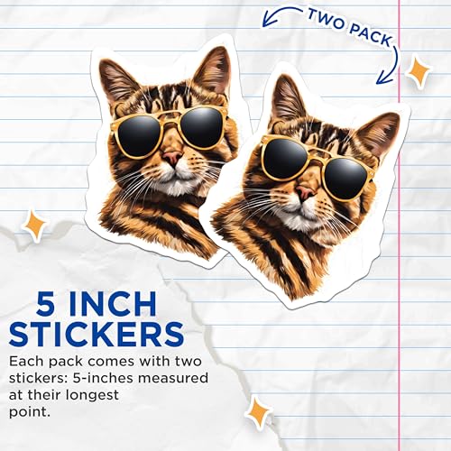 (2 Pack) Cool Cat Sunglasses Stickers - Funny Cat Animal Stickers - Cute Pet Cat Decor Stickers - 5" On Longest Side - Sticks to Any Smooth Flat Surface - Made in USA - BMCS3577