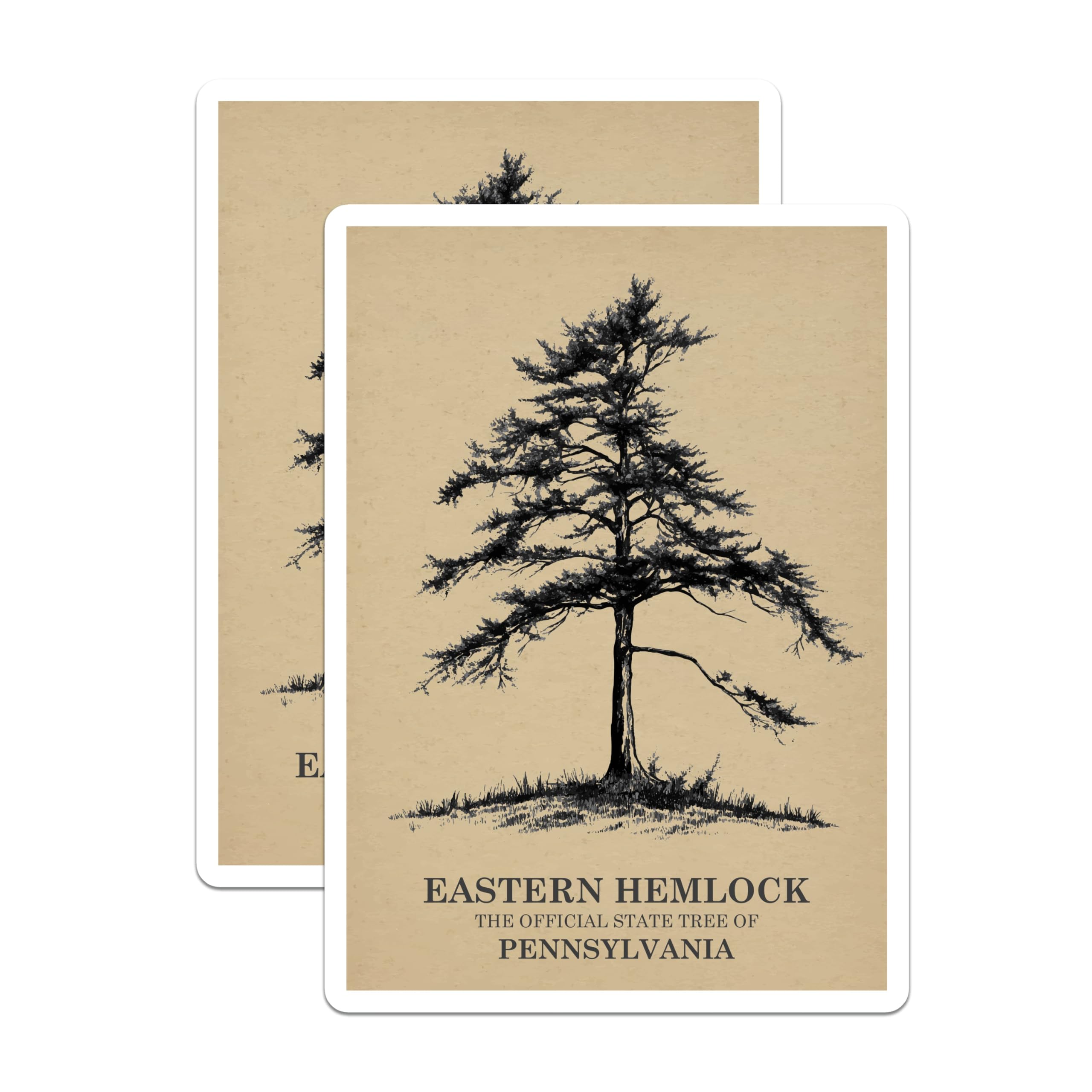 (2 Pack) Hemlock Tree Magnets - Pennsylvania State Tree - Nature Art Magnets - 5" On Longest Side - Premium Magnet - for Cars, Refrigerators, Toolboxes, Lockers - Made in USA - MAG18355