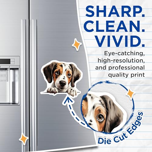(2 Pack) Adorable Animal Fridge Decor Magnet - Pet Lover Kitchen Accessories - 5" On Longest Side - Sticks to Smooth Flat Surfaces - Made in USA - MAG10251