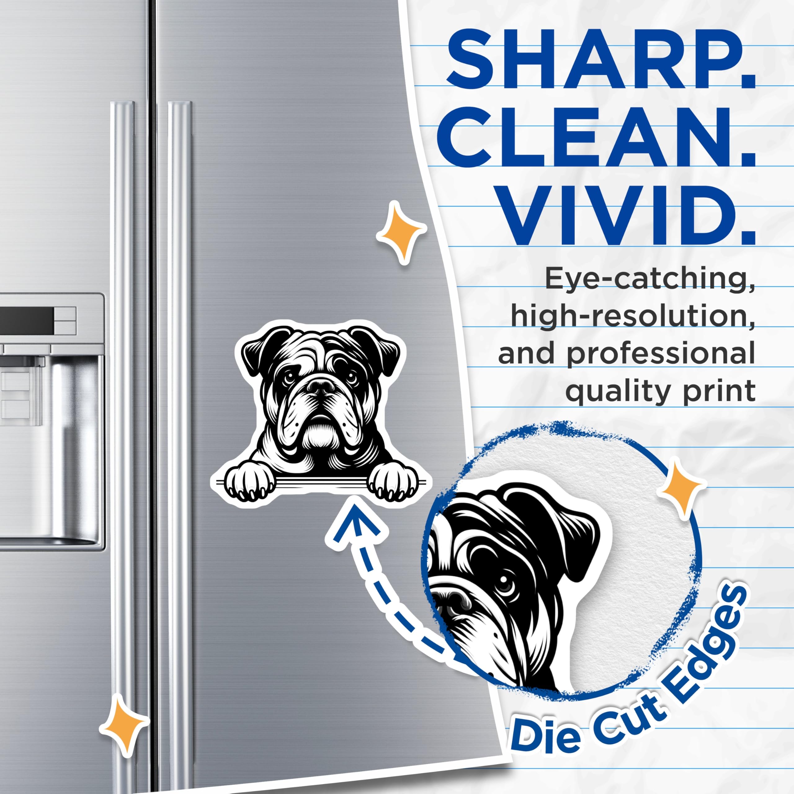 (2 Pack) Bulldog Magnets - English Bulldog Dog - Fridge Decor - 5" On Longest Side - Premium Magnet - for Cars, Refrigerators, Toolboxes, Lockers - Made in USA - MAG15927