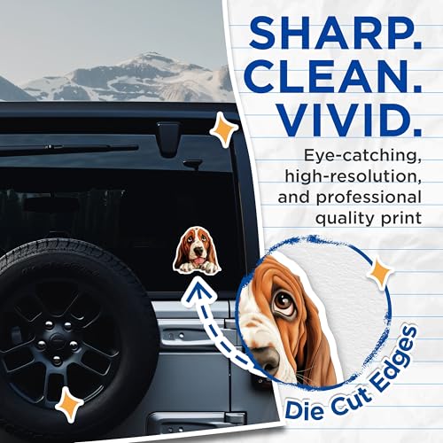 (2 Pack) Cute Basset Hound Dog Stickers - Adorable Puppy Decal - Pet Lover Car Decor - 5" On Longest Side - Sticks to Smooth Flat Surfaces - Made in USA - BMCS9853