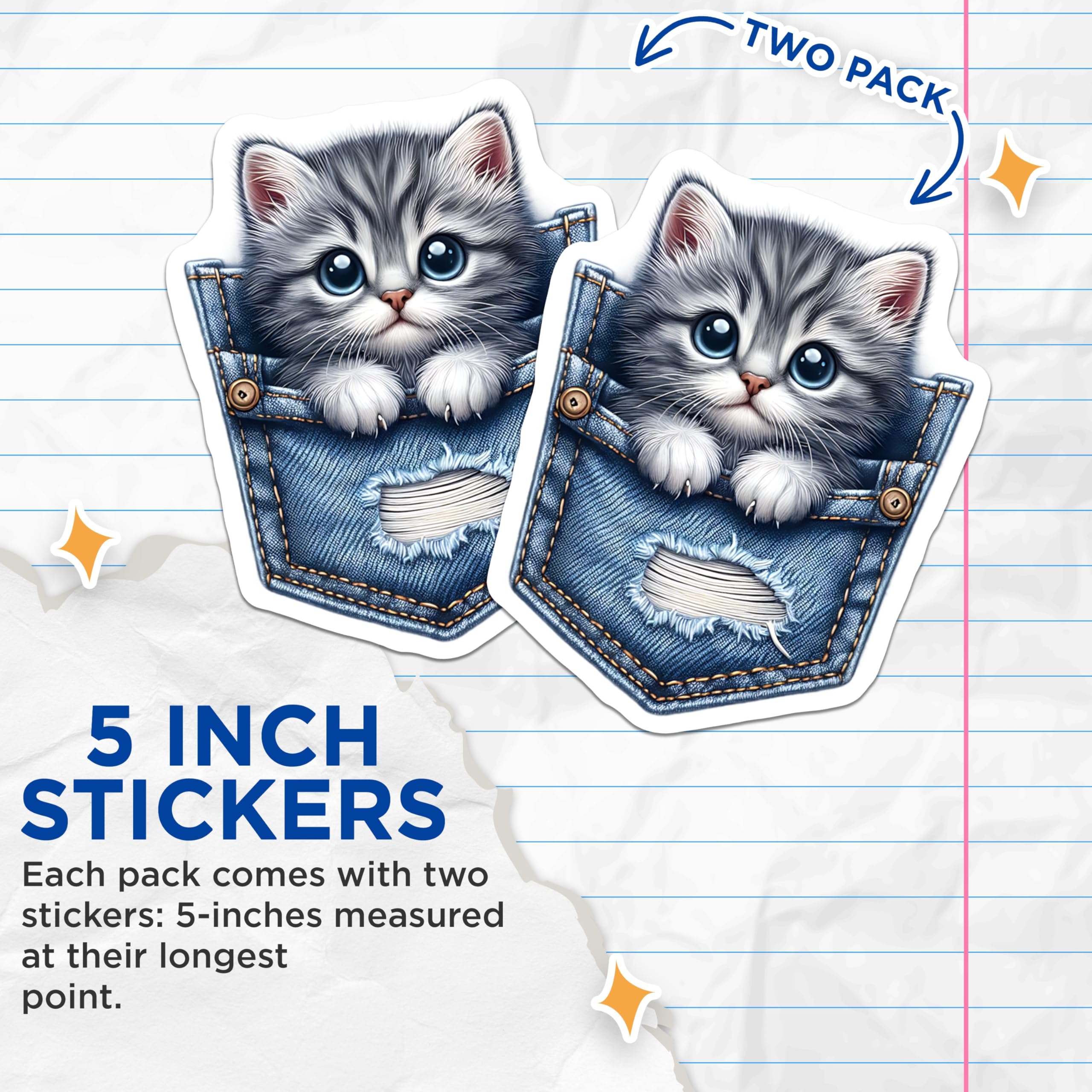 (2 Pack) Kitten Stickers - Pocket Cat Stickers - Cute Animal Stickers- 5" On Longest Side - Sticks to Smooth Flat Surfaces - Made in USA - BMCS16023