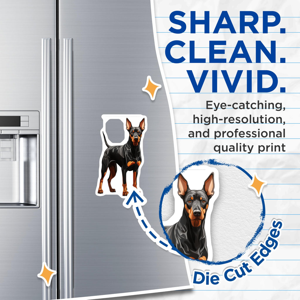 (2 Pack) Doberman Pinscher Magnets - Dog Owner Decor - Canine Lover Accessory - 5 Inches On Longest Side - Thick Durable Magnet - Made in USA - MAG27190