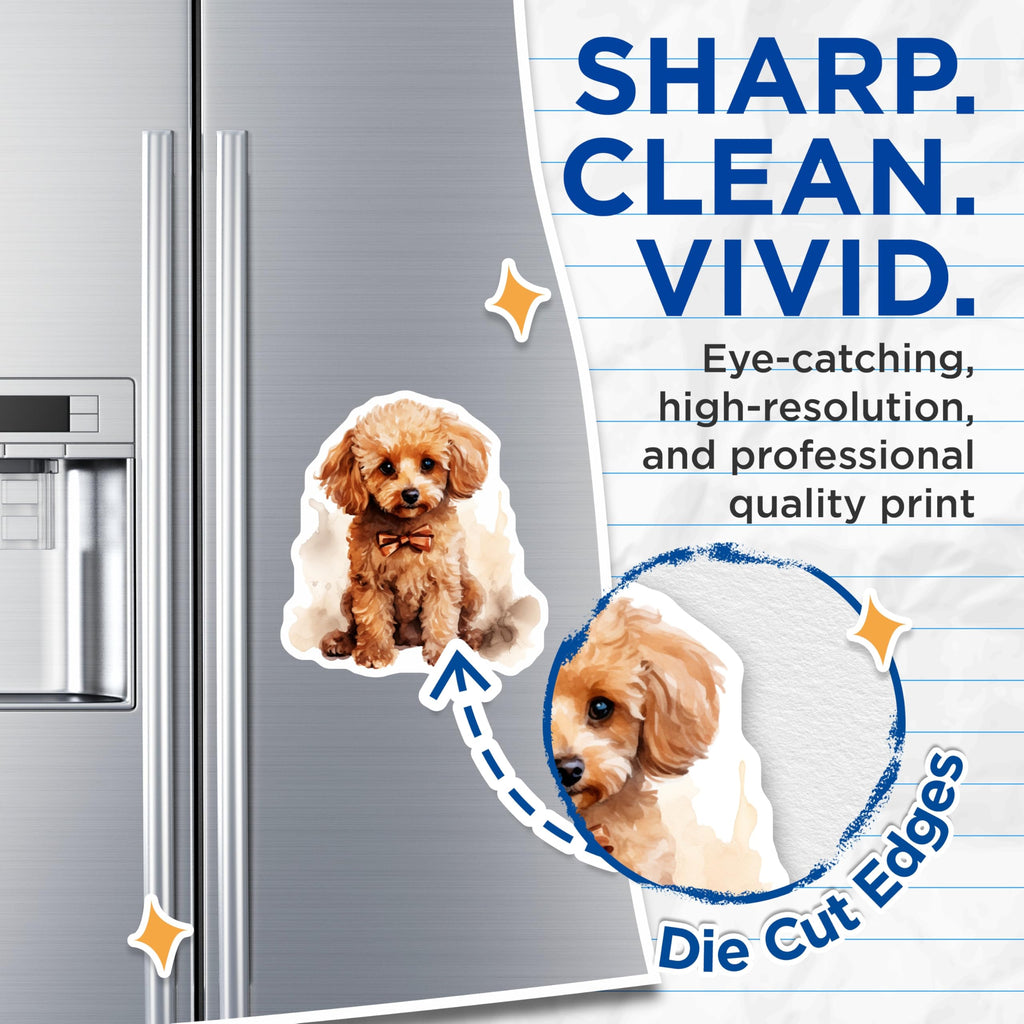 (2 Pack) Watercolor Poodle Magnets - Cute Puppy Dog Decor - Pet Lover Fridge Magnets - 5 Inches On Longest Side - Thick Durable Magnet - Made in USA - MAG24533