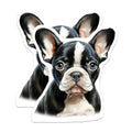 (2 Pack) Boston Terrier Puppy Magnets - Cute Dog Lover Decor - Refrigerator Locker Accents - 5 Inches On Longest Side - Thick Durable Magnet - Made in USA - MAG28012