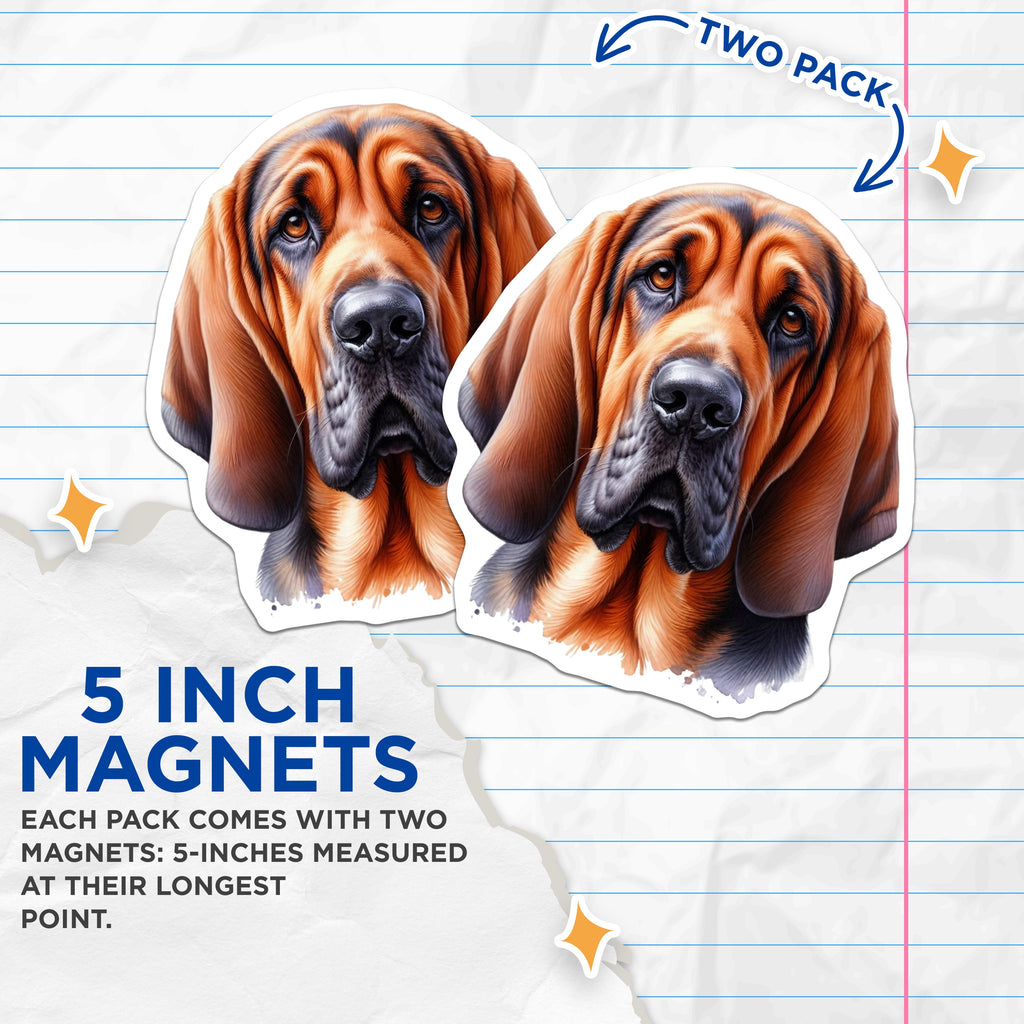 (2 Pack) Bloodhound Dog Magnets - Realistic Canine Portrait - Pet Lover Refrigerator Decor - Dog Parent Appreciation - 5 Inches On Longest Side - Thick Durable Magnet - Made in USA - MAG36406
