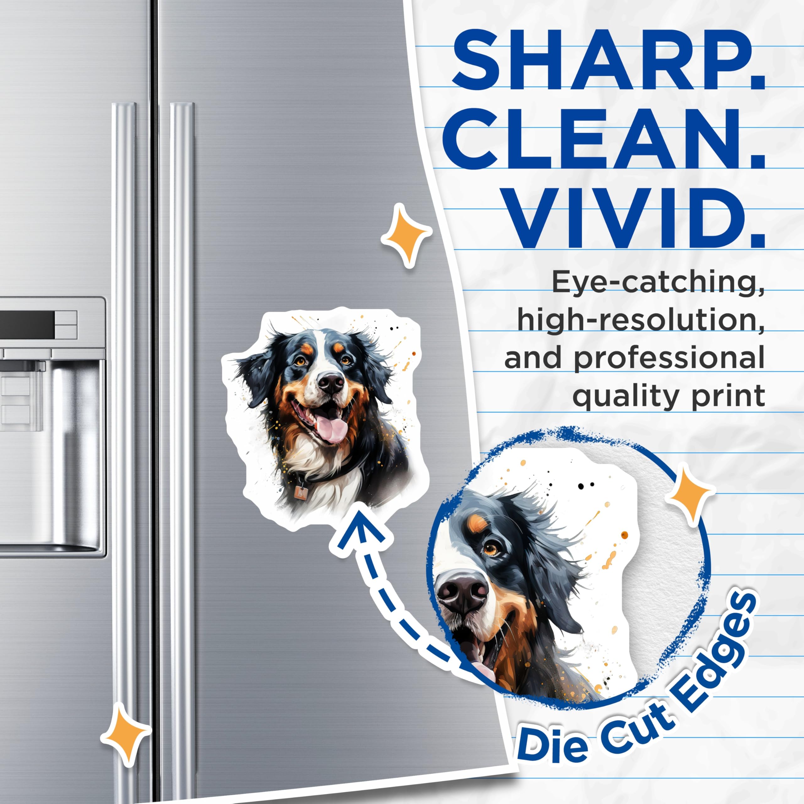 (2 Pack) Bernese Mountain Dog Magnets - Watercolor Dog Art - Happy Bernese Pet Lover Fridge Decor Animal Art - 5 Inches On Longest Side - Thick Durable Magnet - Made in USA - MAG26992