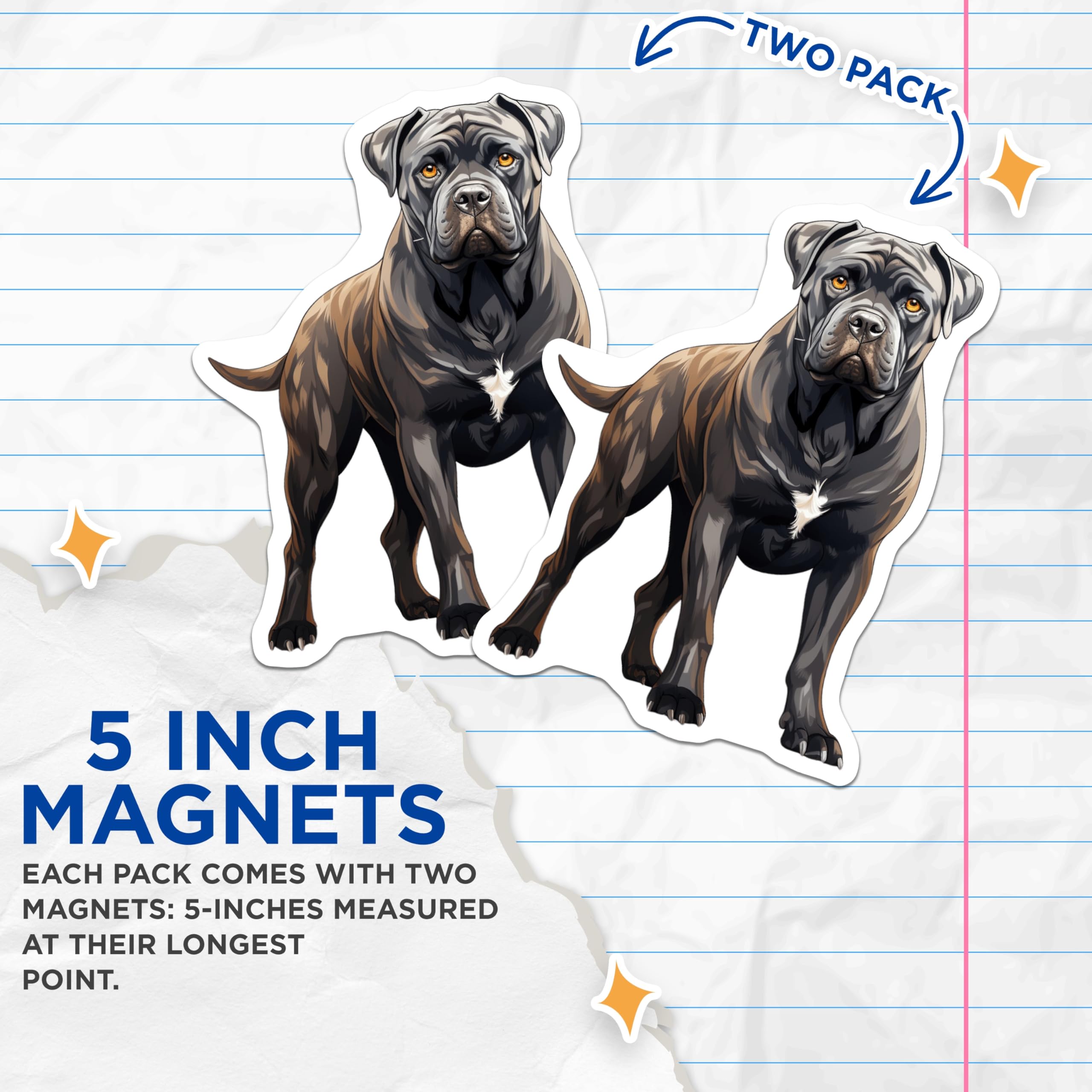 (2 Pack) Cane Corso Dog Magnets - Dog Breed Kitchen Decor - Pet Lover Fridge Accessories - 5 Inches On Longest Side - Thick Durable Magnet - Made in USA - MAG25105