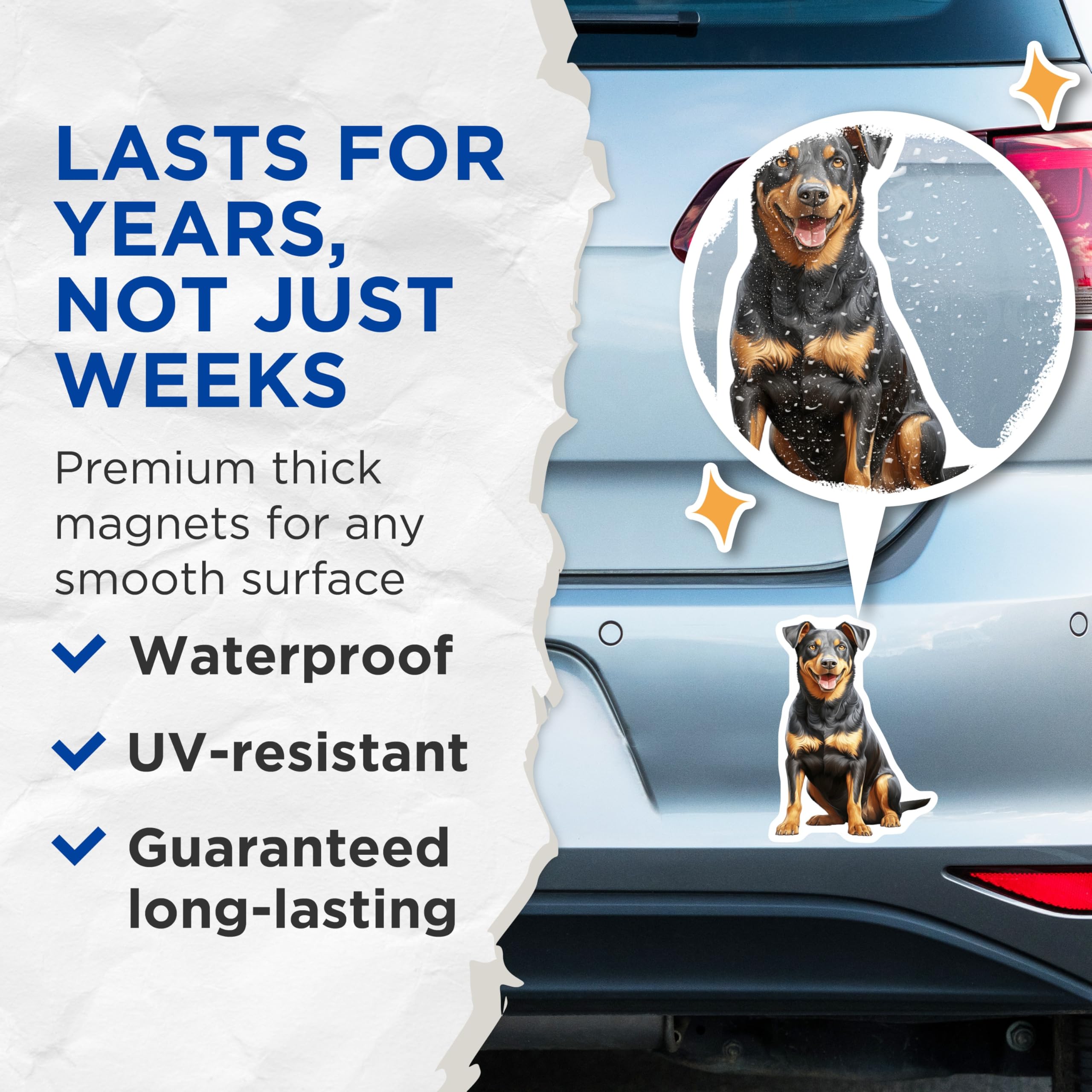 (2 Pack) Rottweiler Magnets - Happy Dog Art - Pet Lover Refrigerator Magnet - Black Tan Canine Decor - 5 Inches On Longest Side - Thick Durable Magnet - Made in USA - MAG30895