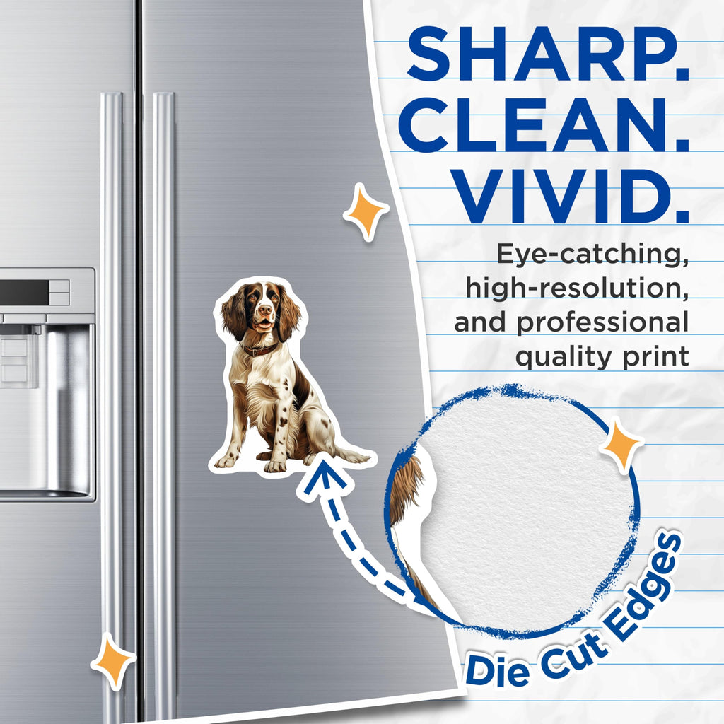 (2 Pack) Springer Spaniel Dog Magnets - Realistic Pet Portrait - Breed Specific Canine Art - Dog Lover Fridge Decor - 5 Inches On Longest Side - Thick Durable Magnet - Made in USA - MAG30487