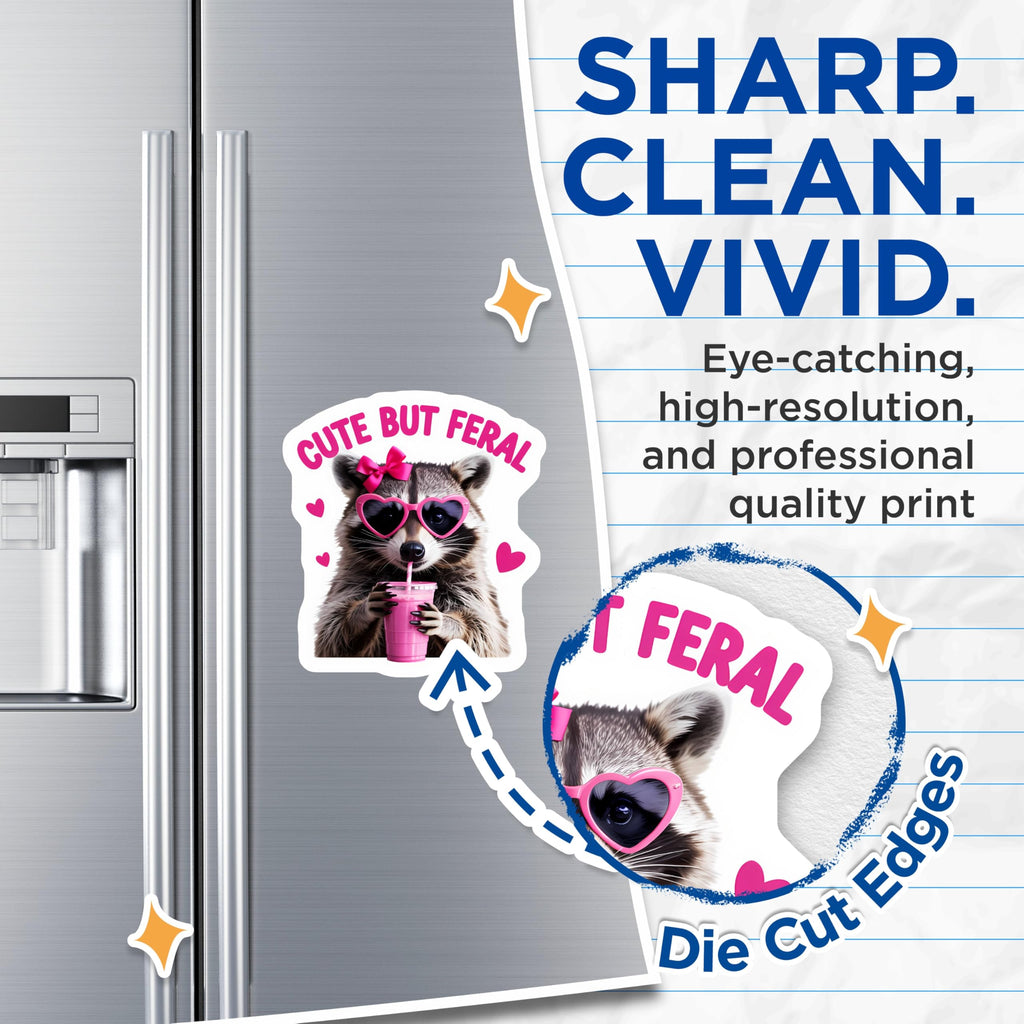 (2 Pack) Cute But Feral Raccoon Magnets - Sassy Animal Art - Pink Bow Heart Sunglasses Refrigerator Decor - 5 Inches On Longest Side - Thick Durable Magnet - Made in USA - MAG21507