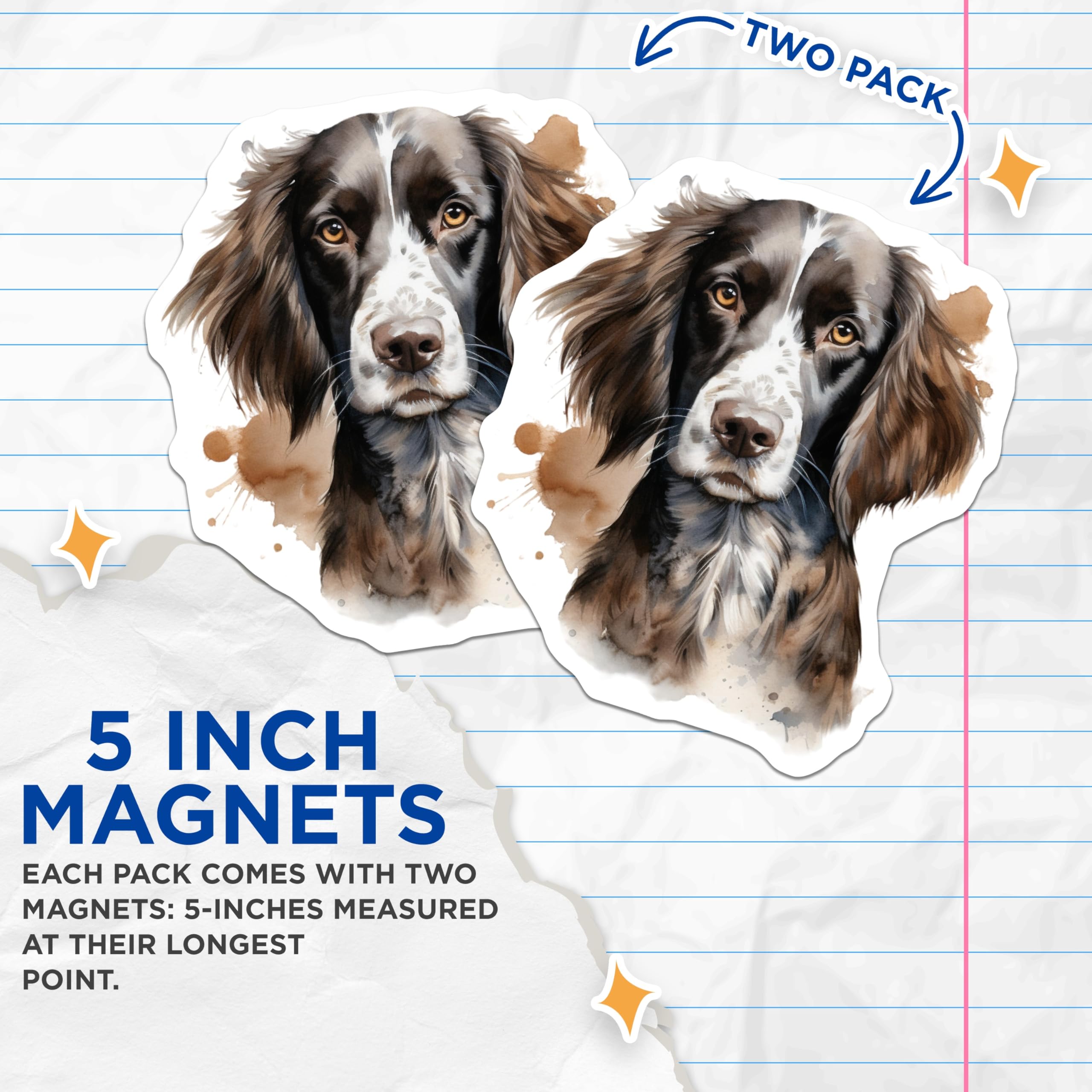 (2 Pack) Springer Spaniel Dog Magnets - Watercolor Pet Art - Canine Lover Decor - 5 Inches On Longest Side - Thick Durable Magnet - Made in USA - MAG27512