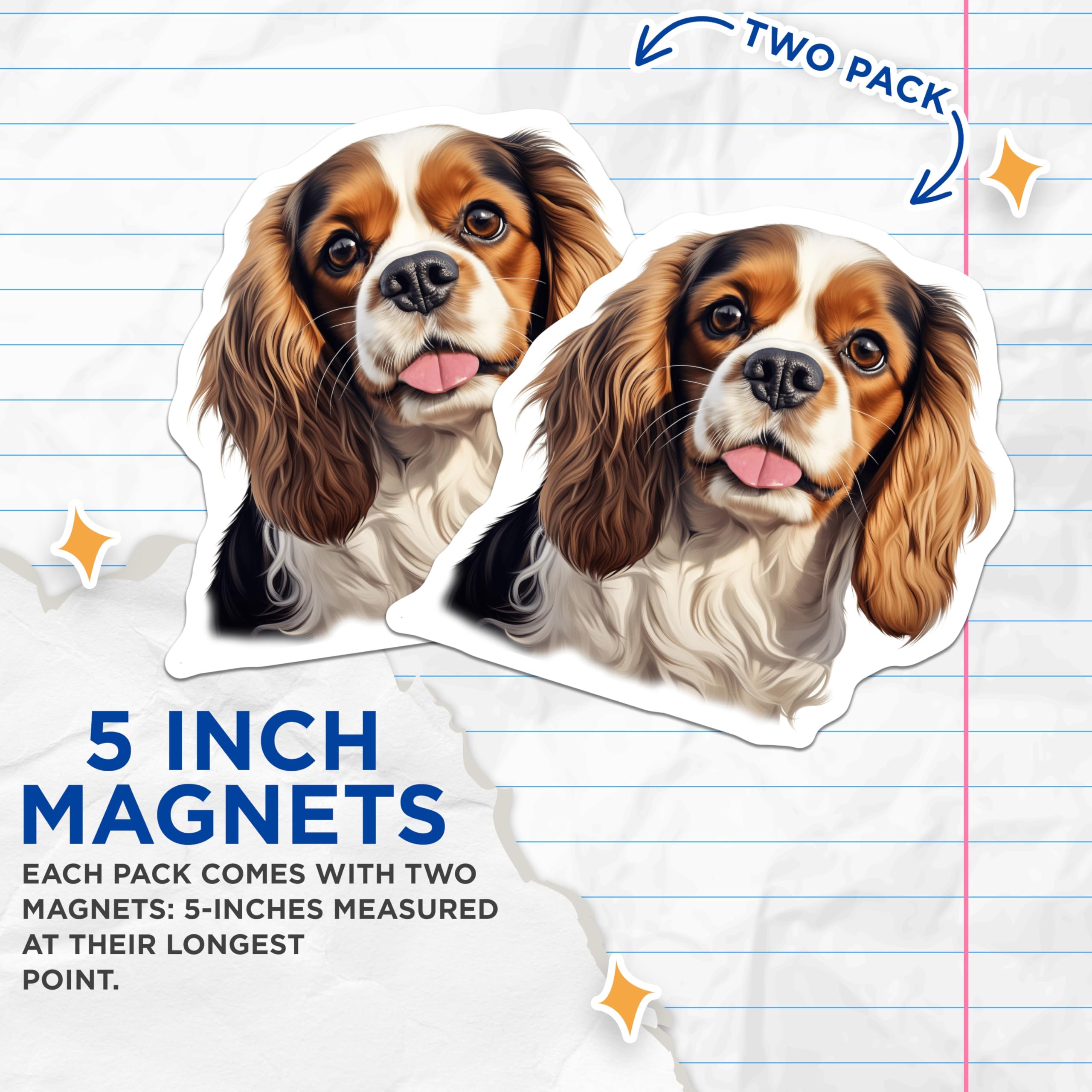 (2 Pack) Cavalier King Charles Spaniel Magnets - Tri Color Dog Breed - Cute Pet Lover Refrigerator Magnets - 5 Inches On Longest Side - Thick Durable Magnet - Made in USA - MAG29153