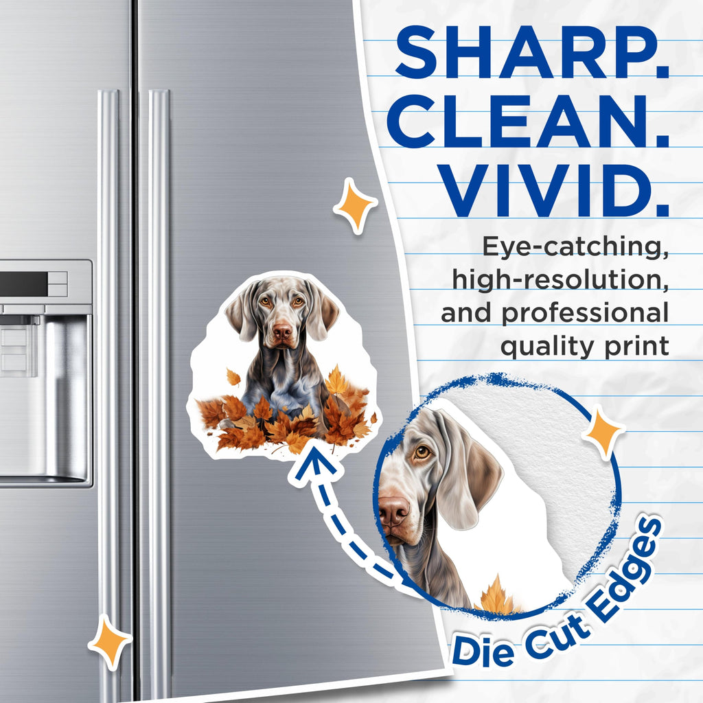 (2 Pack) Weimaraner Dog Magnets - Autumn Dog Lover - Fall Pet Owner Decor Refrigerator Accessory - 5 Inches On Longest Side - Thick Durable Magnet - Made in USA - MAG25041