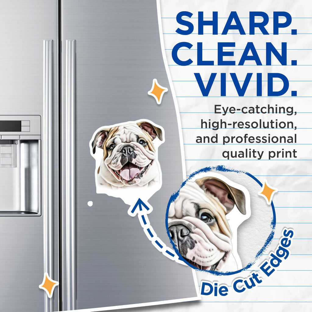 (2 Pack) English Bulldog Magnets - Cute Bulldog Puppy - Pet Lover Fridge Decor Dog Owner Present - 5 Inches On Longest Side - Thick Durable Magnet - Made in USA - MAG29219