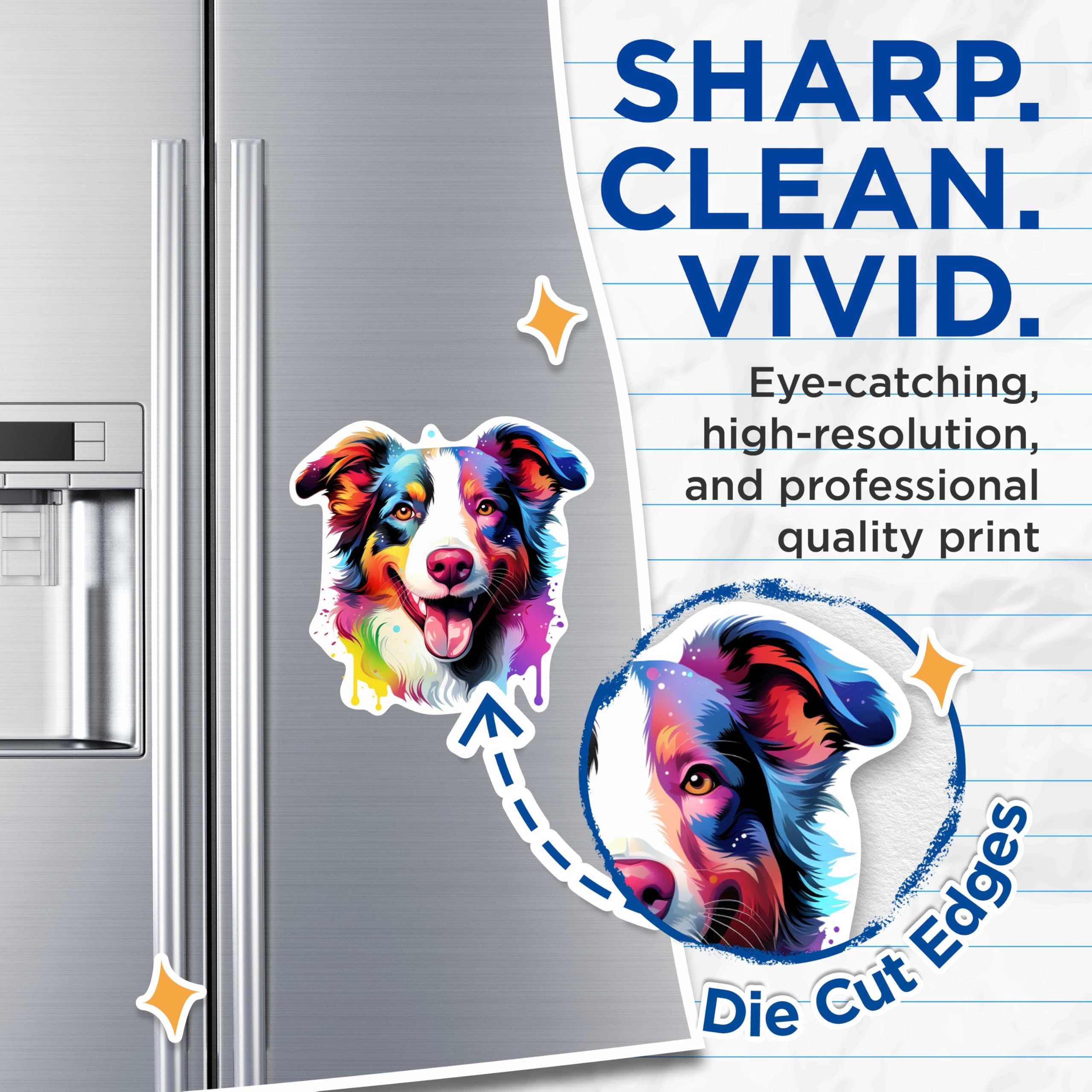 (2 Pack) Border Collie Dog Breed Magnets - 5 Inches On Longest Side - Choose from Over 100 Dog Breeds - for Cars, Refrigerators, Toolboxes - Made in USA - MAG1783
