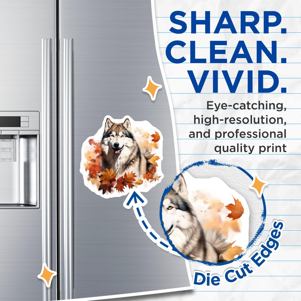 (2 Pack) Husky Autumn Magnets - Alaskan Malamute Decor - Fall Dog Fridge Accessory - 5 Inches On Longest Side - Thick Durable Magnet - Made in USA - MAG30649