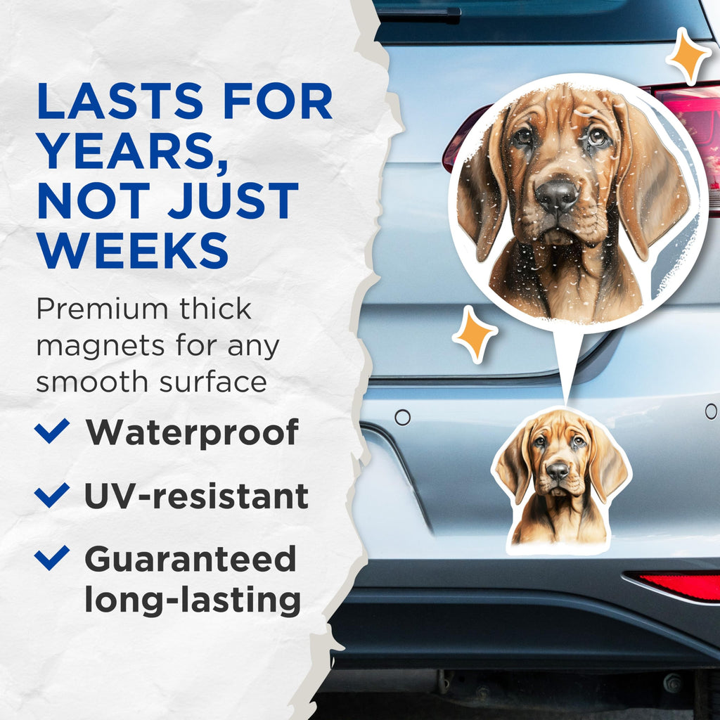 (2 Pack) Bloodhound Puppy Magnets - Cute Dog Pet Owner Decor - Animal Lover Fridge Locker Decor for Dog Mom - 5 Inches On Longest Side - Thick Durable Magnet - Made in USA - MAG28912