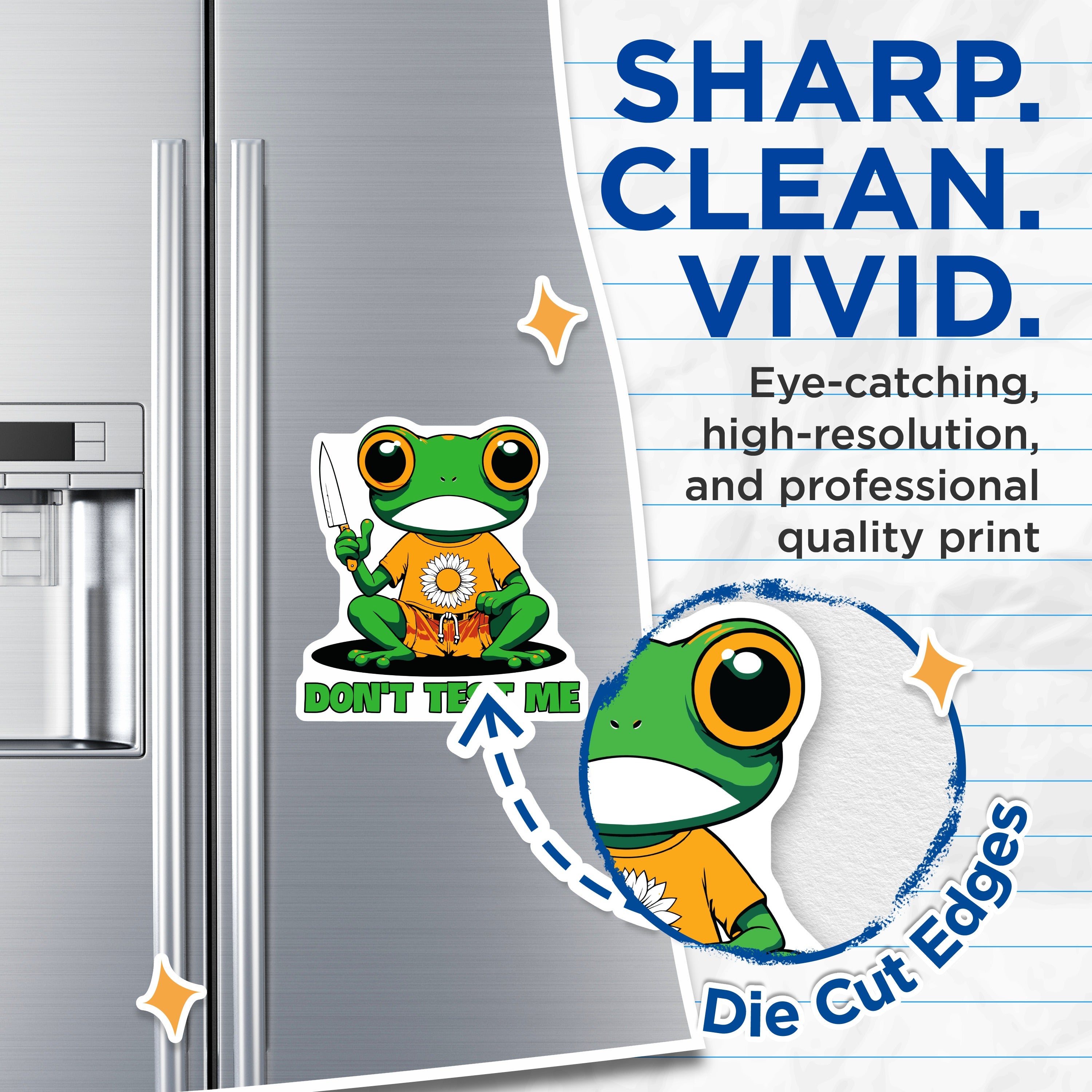 (2 Pack) Don't Test Me Frog Magnets - Sarcastic Meme Humor - Quirky Refrigerator Decor - 5 Inches On Longest Side - Thick Durable Magnet - Made in USA - MAG38298