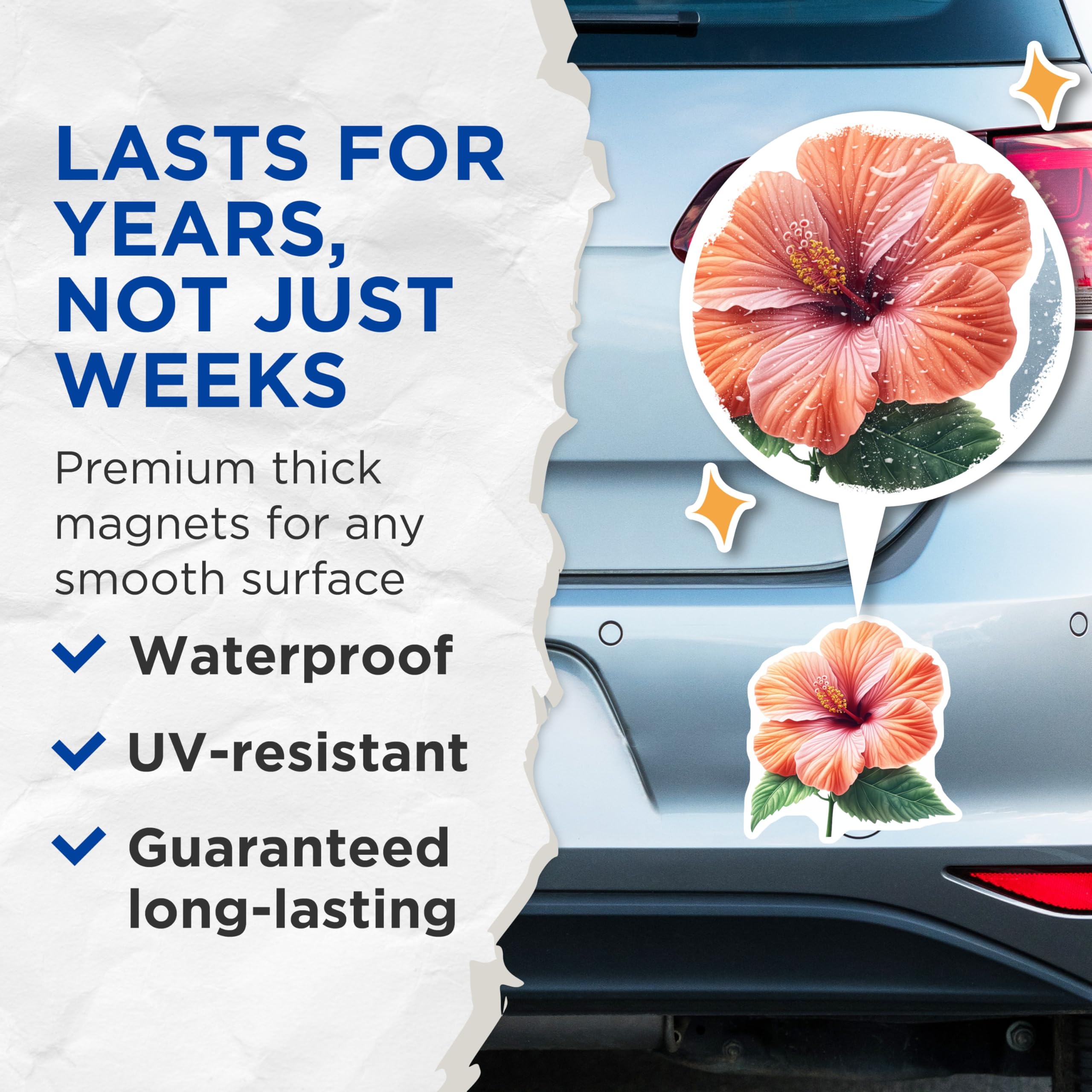 (2 Pack) Vibrant Hibiscus Flower Magnets - Tropical Floral Decor Aesthetic - Summer Kitchen Fridge Magnets - 5 Inches On Longest Side - Thick Durable Magnet - Made in USA - MAG30076