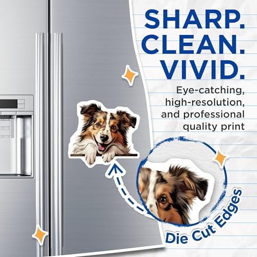 (2 Pack) Dog Lover Decor Magnet - 5" On Longest Side - Sticks to Smooth Flat Surfaces - Made in USA - MAG10276