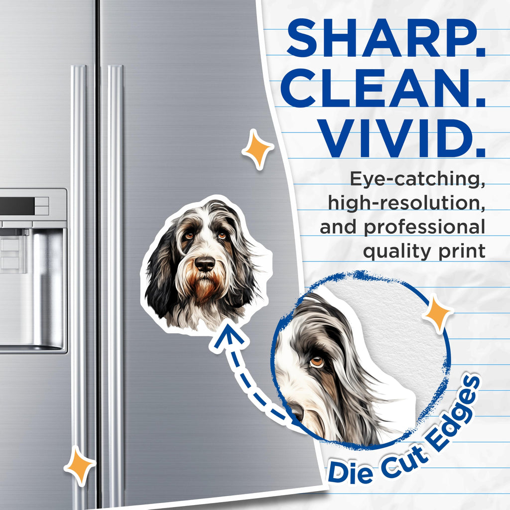 (2 Pack) Shaggy Dog Magnets - Dog Lover Pet Art - Animal Portrait Fridge Decor for Dog Owners - 5 Inches On Longest Side - Thick Durable Magnet - Made in USA - MAG29701