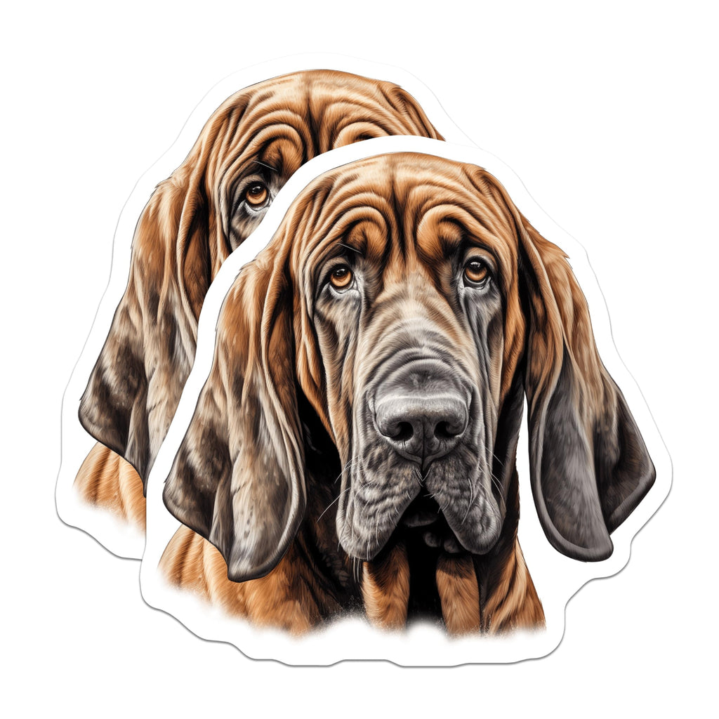 (2 Pack) Bloodhound Dog Magnets - Adorable Hound Dog Art - Wrinkled Face Canine Decor - Pet Lover Refrigerator Display - 5 Inches On Longest Side - Thick Durable Magnet - Made in USA - MAG23731