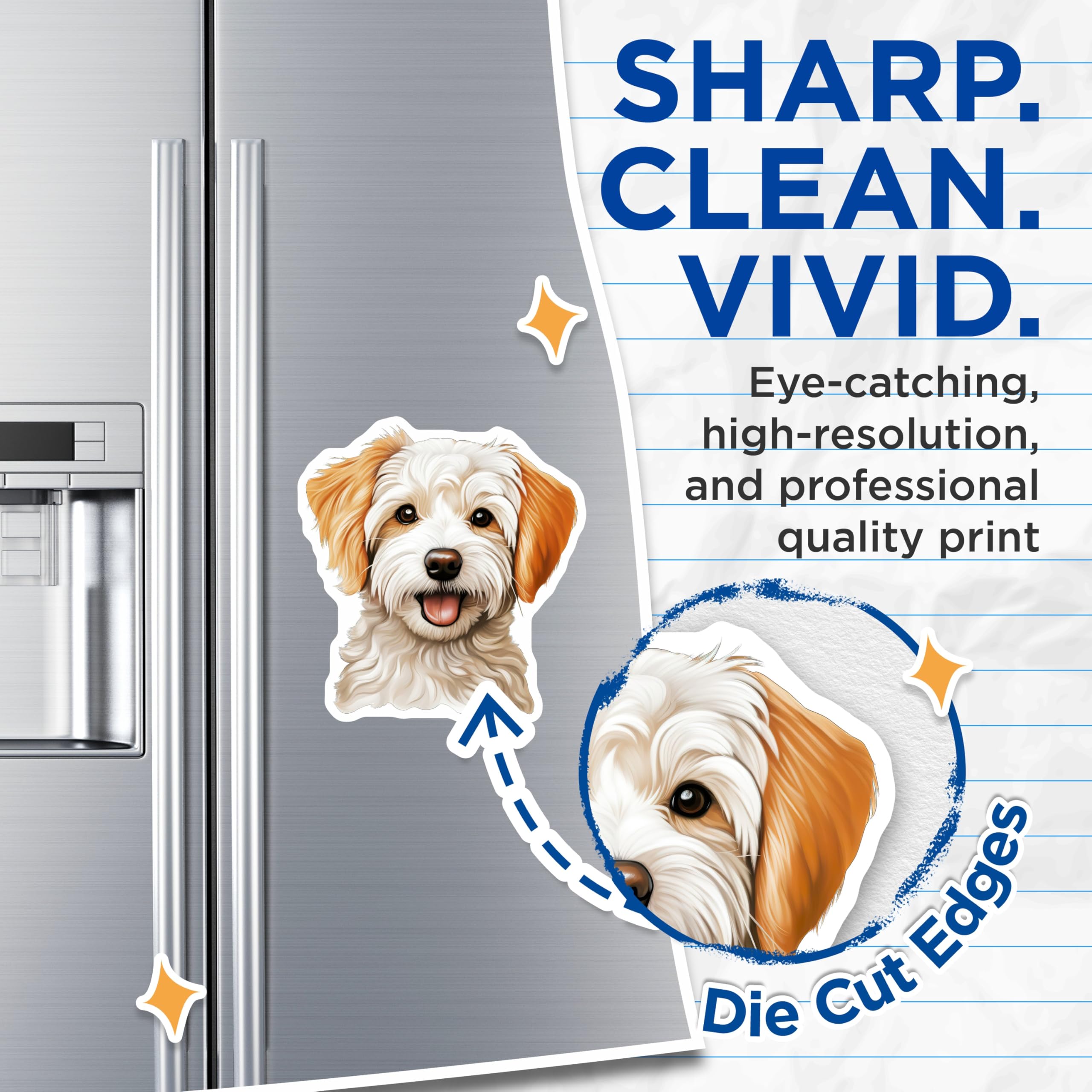(2 Pack) Adorable Maltipoo Dog Magnets - Happy Fluffy Puppy Head Art - Cute Canine Pet Refrigerator Display Accessory - 5 Inches On Longest Side - Thick Durable Magnet - Made in USA - MAG24266