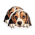 (2 Pack) Animal Fridge Decor Magnet - 5" On Longest Side - Sticks to Smooth Flat Surfaces - Made in USA - MAG9855