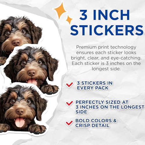 (3 Pack) Bernedoodle Decals - Cute Puppy Decals - Laptop Decal - 3 Inches On Longest Side - Easy Peel & Apply - Made in USA - 3MCS8614