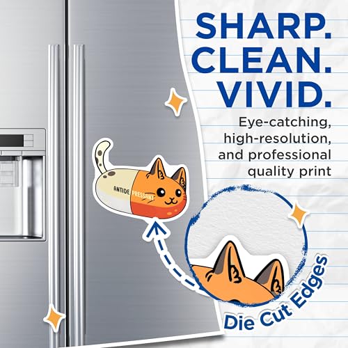 (2 Pack) Funny Cat Meme Magnets - Cat Humor - 5" On Longest Side - for Cars, Fridges, Toolboxes - Made in USA - MAG7820