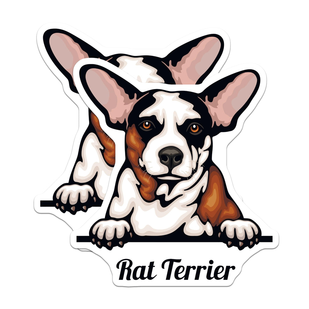(2 Pack) Rat Terrier Dog Stickers - Cute Dog Breed Stickers - Pet Lover Sticker Pack - 5" On Longest Side - Sticks to Smooth Flat Surfaces - Made in USA - BMCS4219