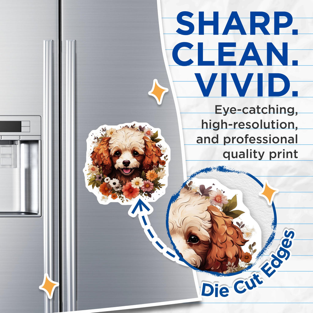 (2 Pack) Cute Poodle Dog Magnets - Floral Puppy Decor - Animal Lover Art - 5 Inches On Longest Side - Thick Durable Magnet - Made in USA - MAG29021