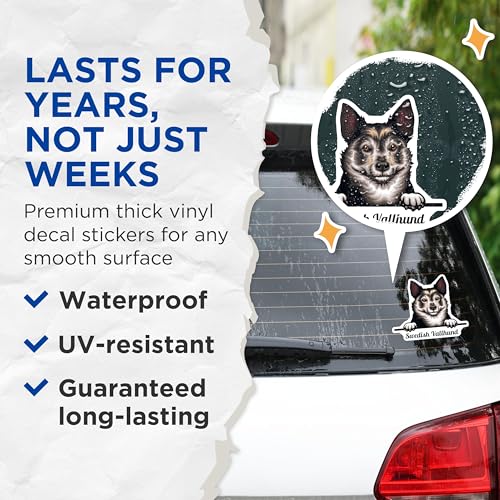 (2 Pack) Swedish Vallhund Stickers - Dog Breed Decal - Cute Pet Stickers for Laptops and Water Bottles - 5" On Longest Side - Sticks to Smooth Flat Surfaces - Made in USA - BMCS4223