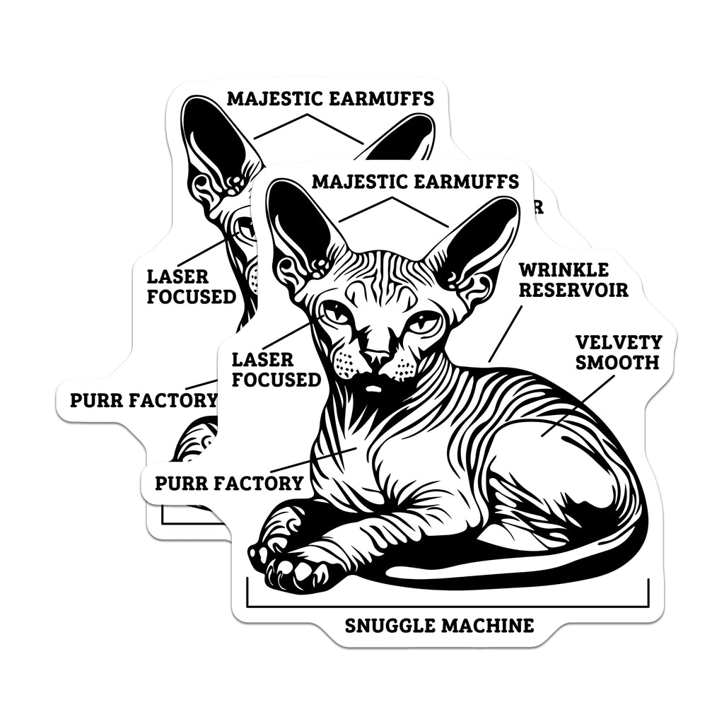 (2 Pack) Sphynx Cat Magnets - Funny Naked Cat Humor - Pet Parent Fridge Decor - Unique Animal Lover Item - 5 Inches On Longest Side - Thick Durable Magnet - Made in USA - MAG37346