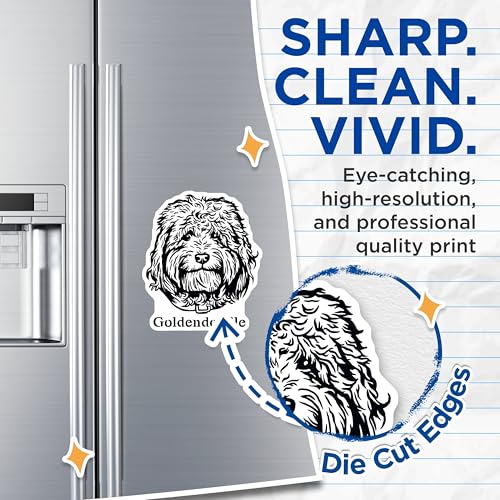 (2 Pack) Goldendoodle Magnets - Cute Dog Magnets - Pet Lover's Fridge Magnets - Animal Cartoon Magnets - 5" On Longest Side - for Cars, Fridges, Toolboxes - Made in USA - MAG4012
