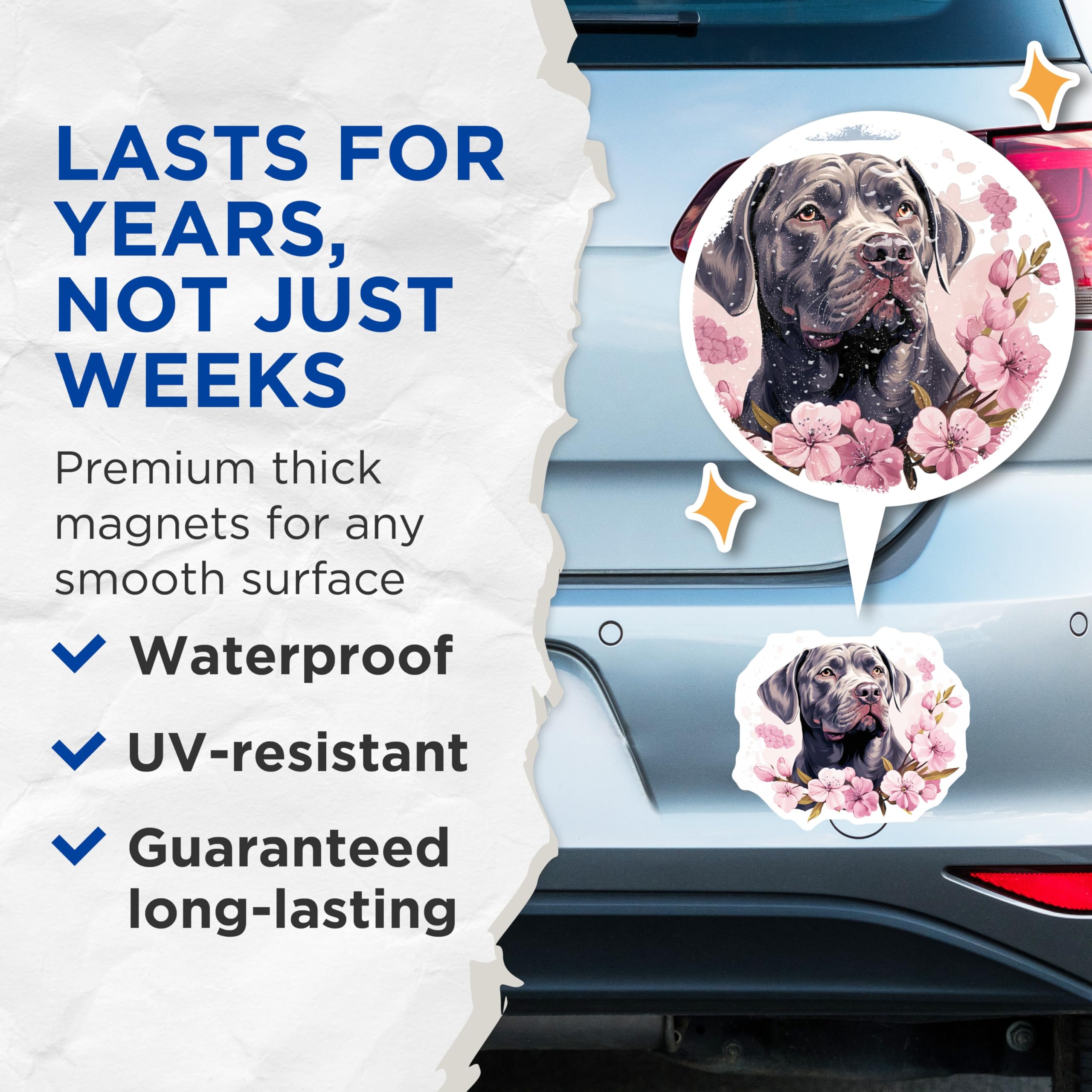 (2 Pack) Cane Corso Magnets - Majestic Dog Art - Pink Cherry Blossom Decor - Large Breed Canine Lover Fridge Accessories - 5 Inches On Longest Side - Thick Durable Magnet - Made in USA - MAG23887