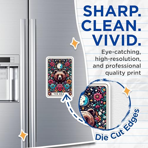 (2 Pack) Bear Floral Moon Magnets - Wildlife Art - Animal Ative - Nature-Inspired Magnets - 5" On Longest Side - for Cars, Fridges, Toolboxes - Made in USA - MAG4445