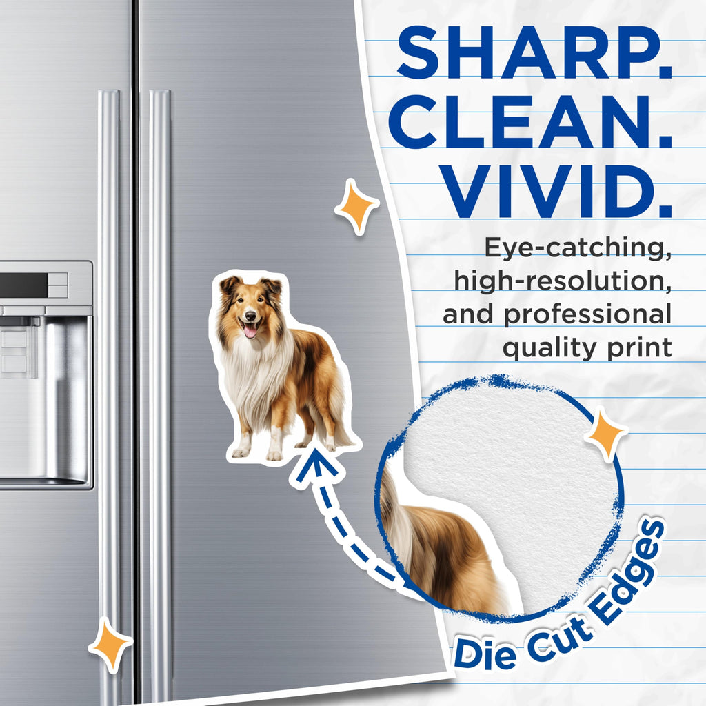 (2 Pack) Rough Collie Magnets - Happy Dog Decor - Collie Owner Accessory - 5 Inches On Longest Side - Thick Durable Magnet - Made in USA - MAG28944