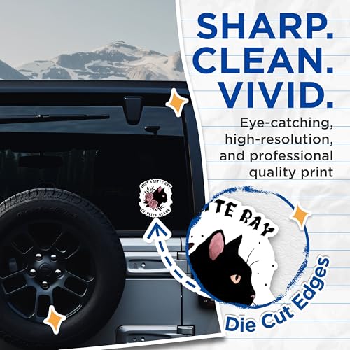 (2 Packs) Just A Little Ray Of Pitch Black Stickers - Funny Superstitious Black Cat Decals - 5 Inches On Longest Side - Premium Vinyl Decal - Sticks To Any Smooth Flat Surface - Made In USA - BMCS2490