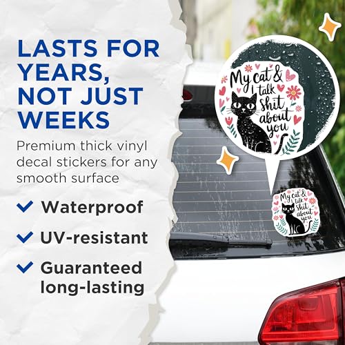 (2 Pack) My Cat and I Talk Stickers - Funny Cat Quotes Stickers - Cat Lover Decal - 5" On Longest Side - Sticks to Smooth Flat Surfaces - Made in USA - BMCS4828