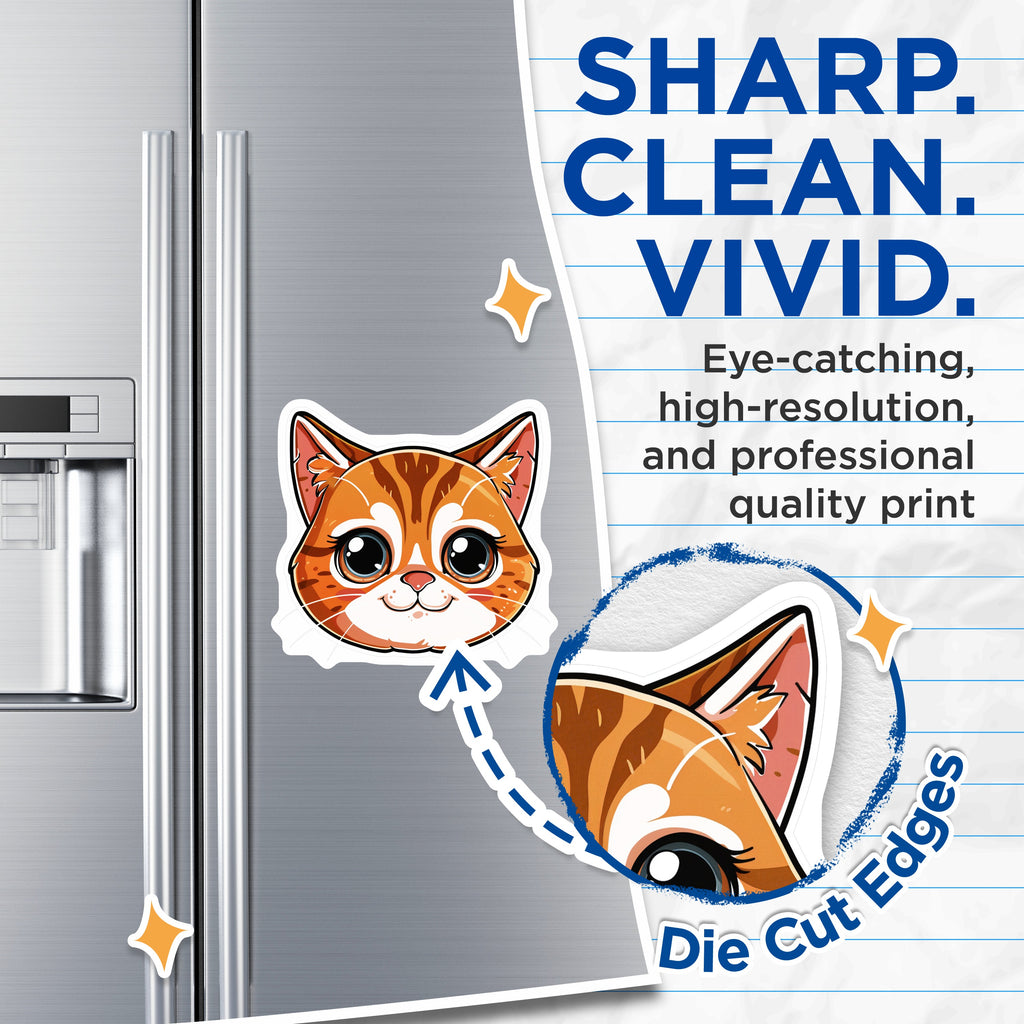 (2 Pack) Cute Orange Tabby Cat Magnets - Kawaii Kitty Decor - Animal Refrigerator Adornment - 5 Inches On Longest Side - Thick Durable Magnet - Made in USA - MAG36882
