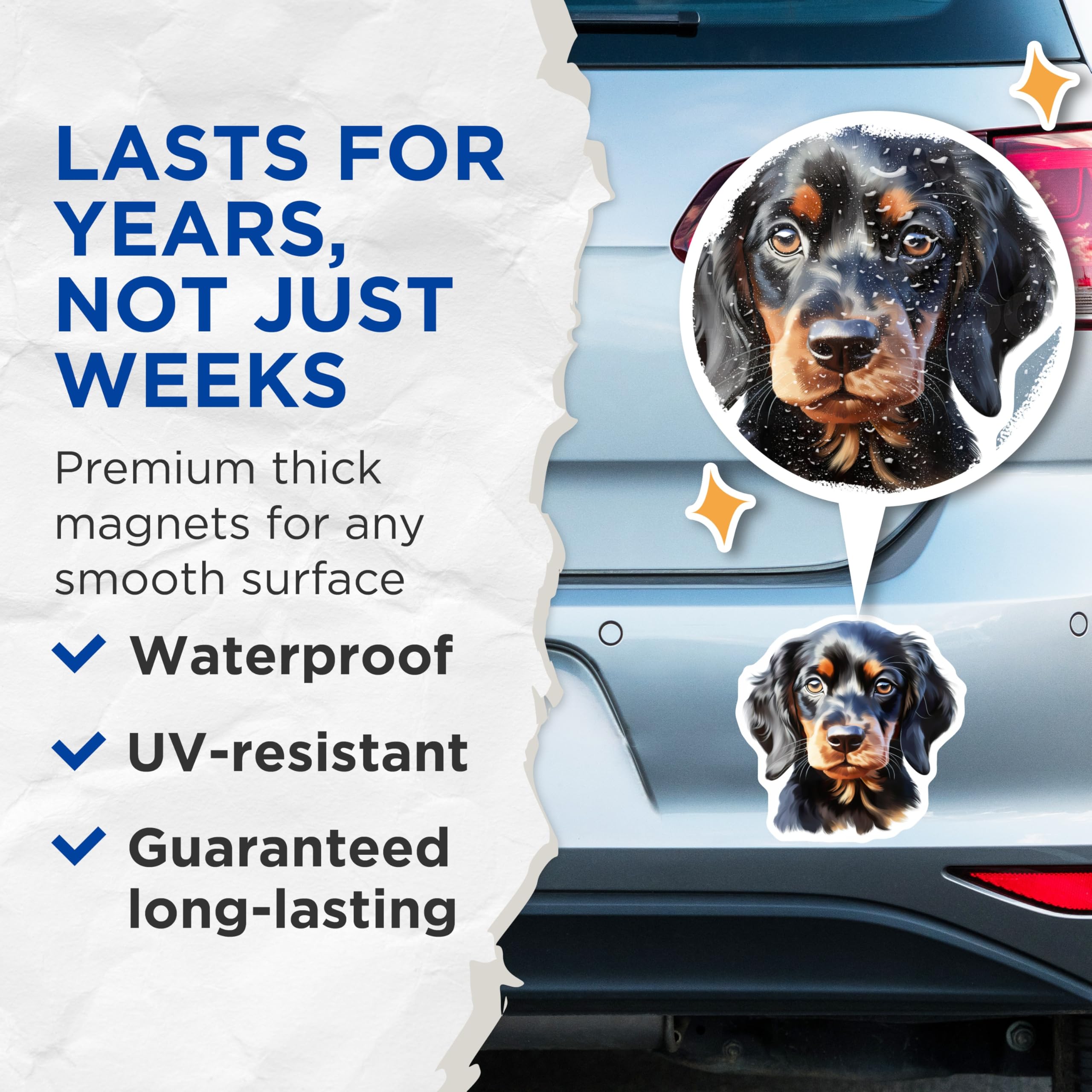 (2 Pack) Black Tan Dog Magnets - Gordon Setter Puppy Art - Spaniel Breed Decor - Pet Lover Fridge Magnet - Cute Dog Portrait - 5 Inches On Longest Side - Thick Durable Magnet - Made in USA - MAG25723