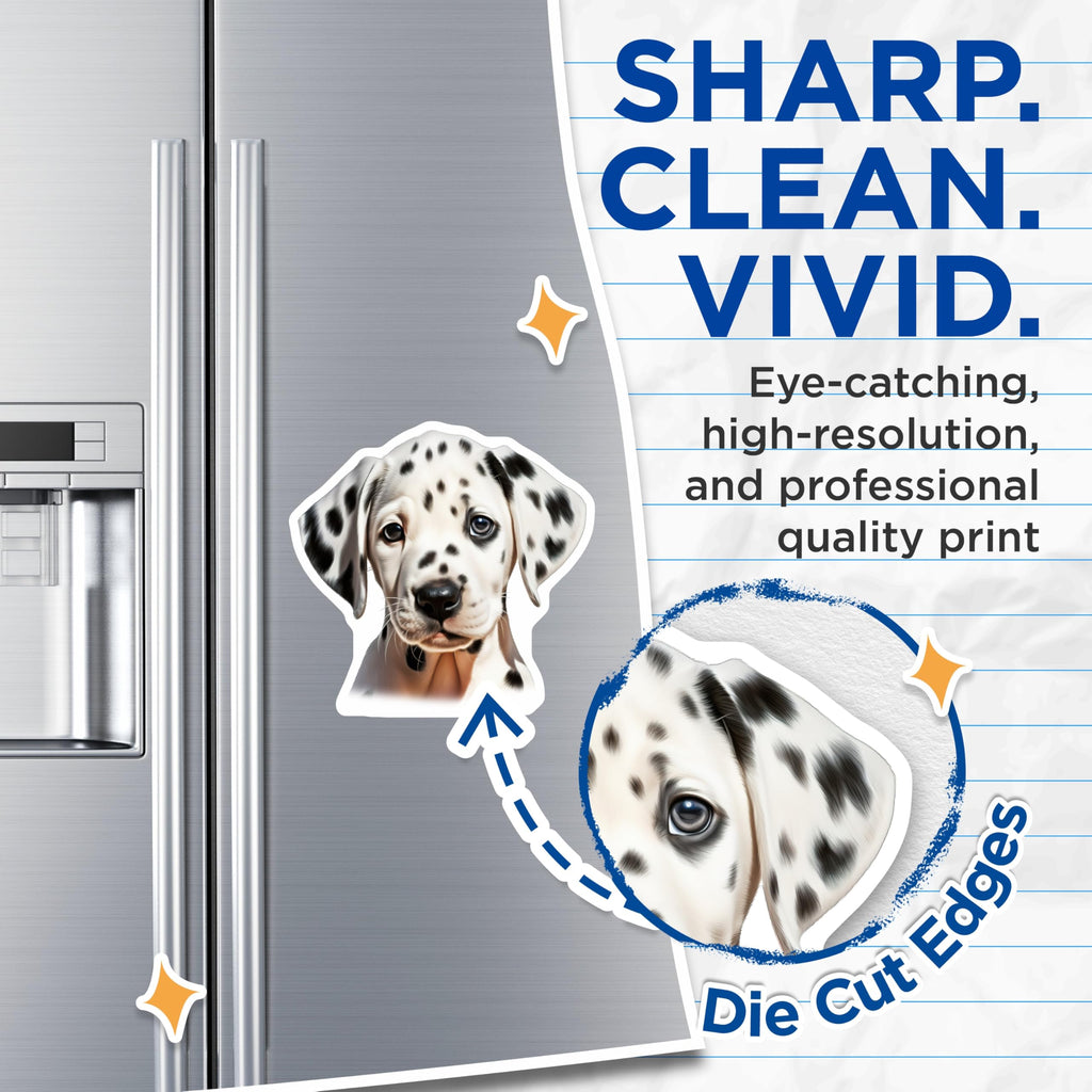 (2 Pack) Adorable Dalmatian Puppy Magnets - Dog Owner Accessories - Fridge Locker Decoration - 5 Inches On Longest Side - Thick Durable Magnet - Made in USA - MAG25478