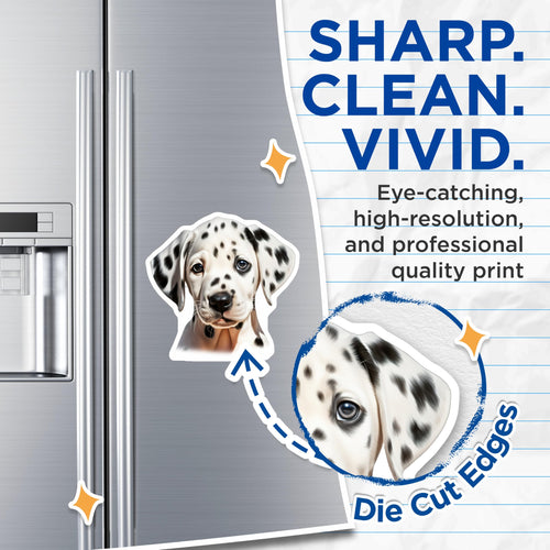 (2 Pack) Adorable Dalmatian Puppy Magnets - Dog Owner Accessories - Fridge Locker Decoration - 5 Inches On Longest Side - Thick Durable Magnet - Made in USA - MAG25478