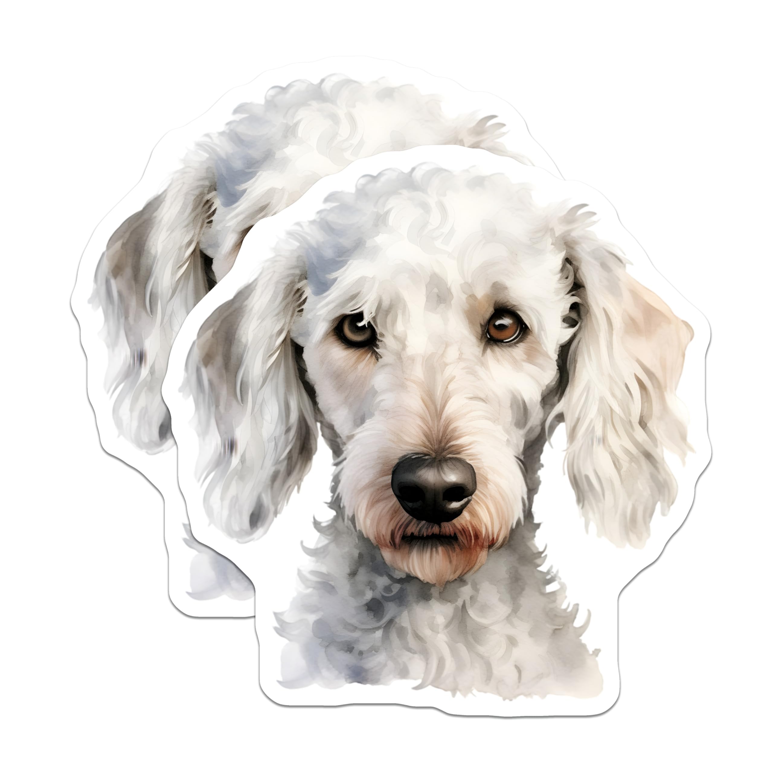 (2 Pack) Goldendoodle Magnets - White Poodle Art - Dog Mom Decor for Fridge - 5 Inches On Longest Side - Thick Durable Magnet - Made in USA - MAG29747