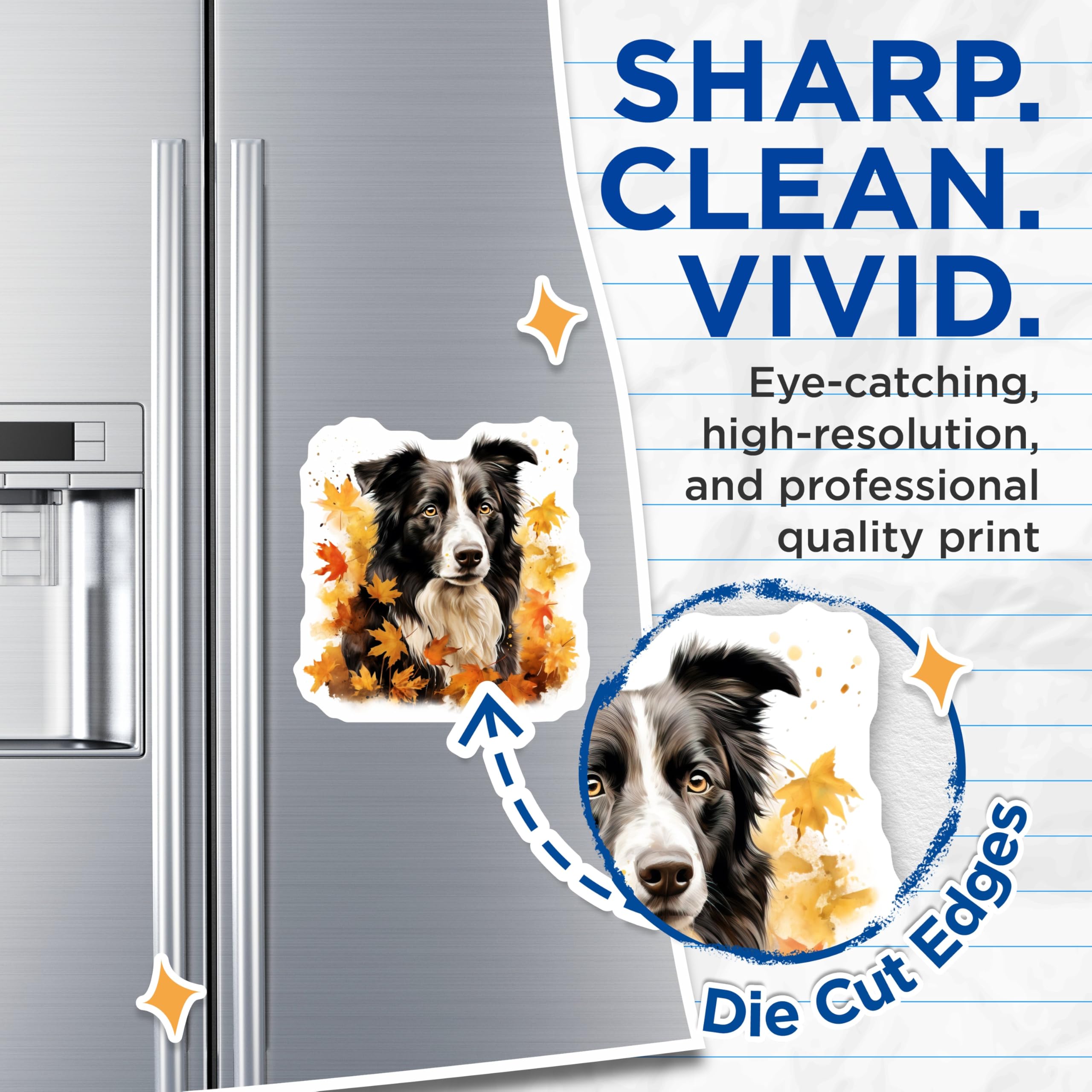 (2 Pack) Border Collie Magnets - Autumn Dog Refrigerator Decor - Fall Maple Leaves Pet Art Magnet - 5 Inches On Longest Side - Thick Durable Magnet - Made in USA - MAG24937