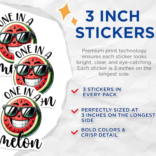 (3 Pack) One in A Melon Decals - Watermelon Sticker - Funny Fruit Decal - 3 Inches On Longest Side - Easy Peel & Apply - Made in USA - 3MCS7548