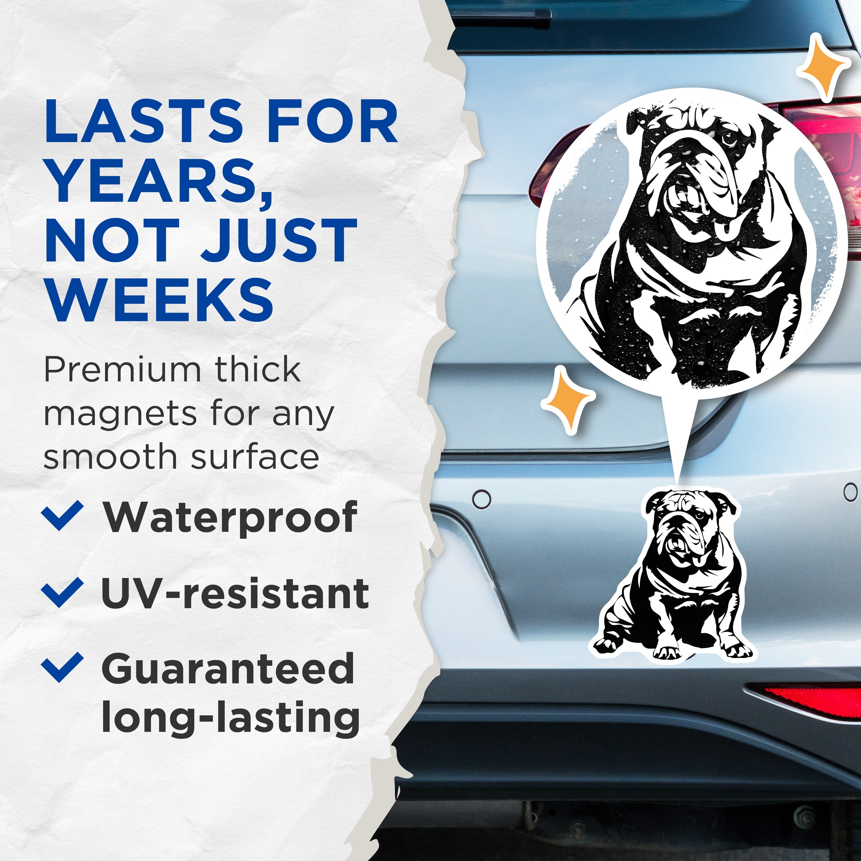 (2 Pack) English Bulldog Magnets - Dog Lover Refrigerator Decor - Pet Breed Artwork - Bulldog Mom Dad Accent - Animal Fridge Art - 5" - Thick Durable Magnet - Made in USA - MAG39662